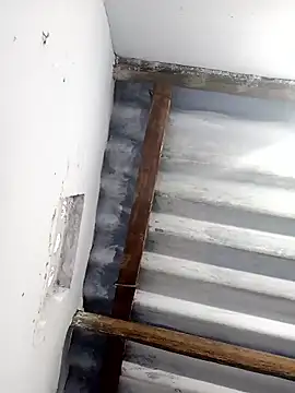 mr slim body online show from January 2026 02:26:02 AM