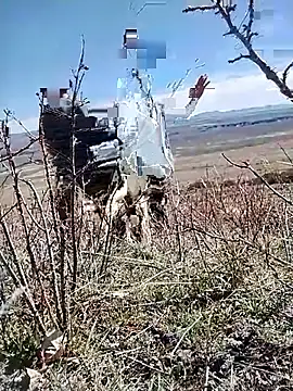 rockpimp online show from March 2026 06:55:01 PM