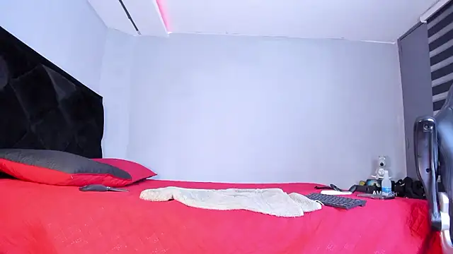 Dancelwashington online show from February 2026 10:01:01 PM