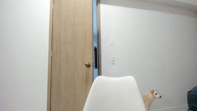 Vera Fernandez online show from April 2026 11:34:02 PM