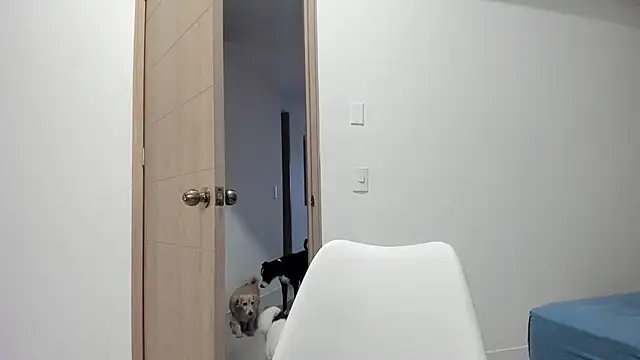 Snapshot of Vera_Fernandez chatting on November 2025 10:46:01 PM Vera Fernandez online show from November 2025 10:46:01 PM