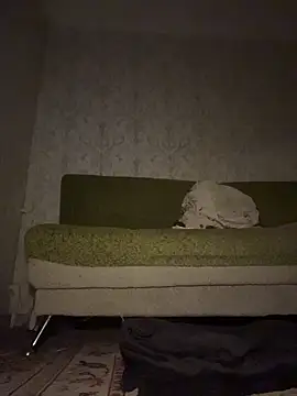 MissDasha online show from March 2026 05:40:02 PM