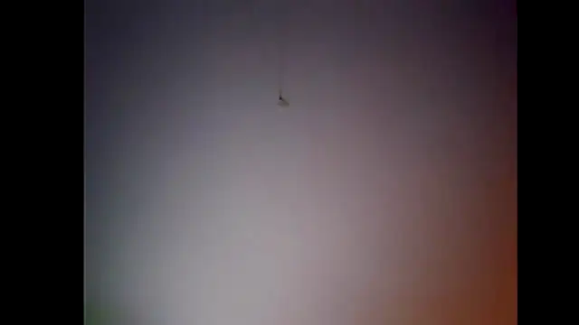 Pegg-fist-me online show from November 2025 12:00:01 AM