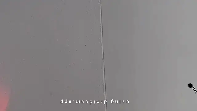 Pegg-fist-me online show from March 2026 08:51:02 AM