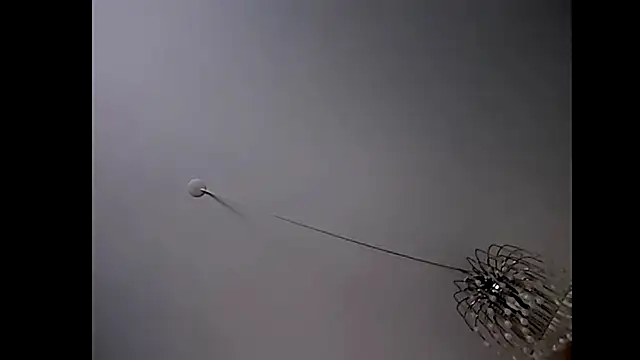 Pegg-fist-me online show from October 2025 01:48:01 AM