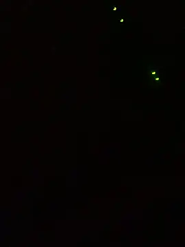 ClatteryPrexy online show from March 2025 06:03:01 AM