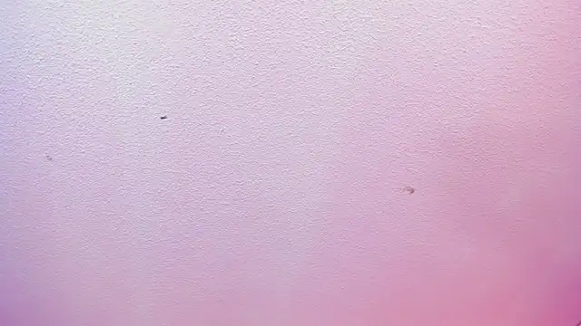 Red lady online show from April 2026 04:03:01 AM