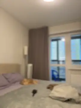 Snapshot of NewLale chatting on November 2025 02:56:02 AM NewLale online show from November 2025 02:56:02 AM