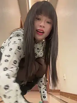 Game yoyo online show from February 2025 07:37:02 AM