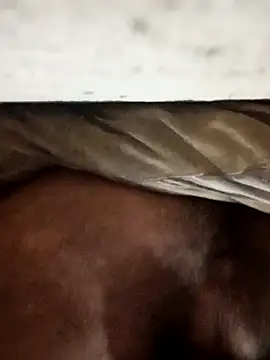 Snapshot of carlos40404 chatting on October 2025 04:00:01 AM carlos40404 online show from October 2025 04:00:01 AM