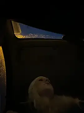 MerlinDave online show from November 2025 12:58:02 AM