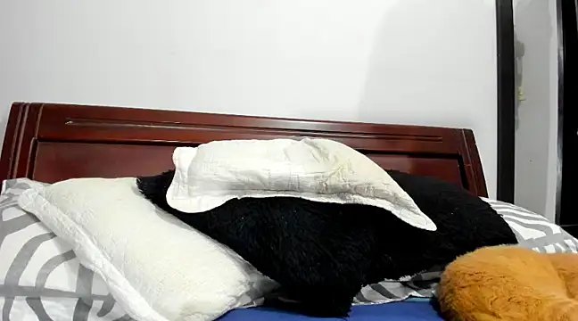 aleziiacam online show from February 2025 03:11:02 AM