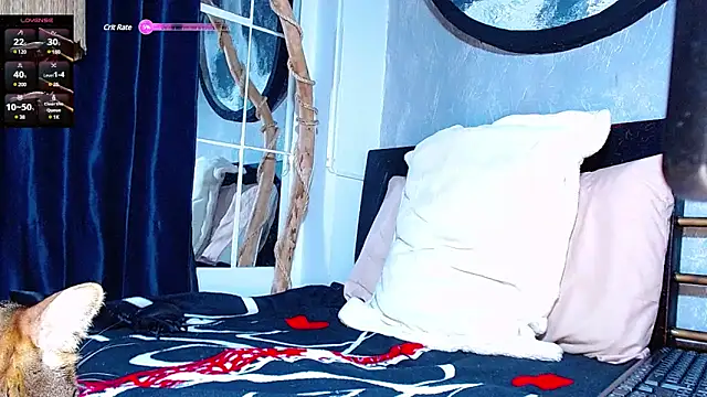 the dog lian online show from March 2025 10:53:02 PM