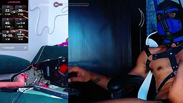 the dog lian online show from December 2025 02:28:02 PM