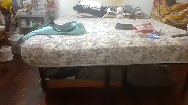 brasiliana49 online show from April 2026 12:04:01 AM