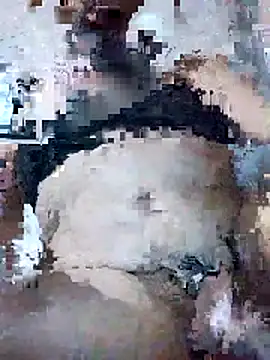 Snapshot of Roleplay2323 chatting on October 2025 09:08:02 AM Roleplay2323 online show from October 2025 09:08:02 AM