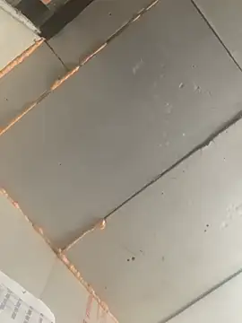 Boysex227 online show from February 2026 08:11:02 AM