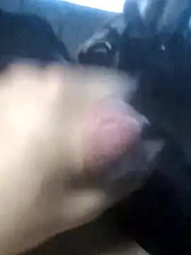 Boysex227 online show from March 2026 04:23:02 AM