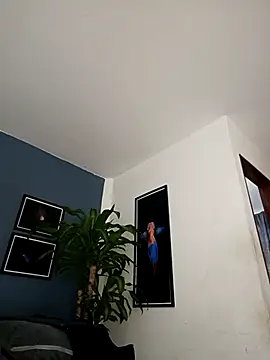 SilvaBranko online show from December 2025 12:05:01 AM