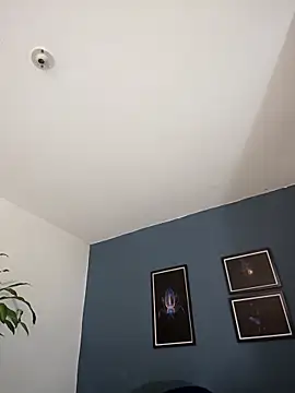 SilvaBranko online show from October 2025 11:05:02 PM