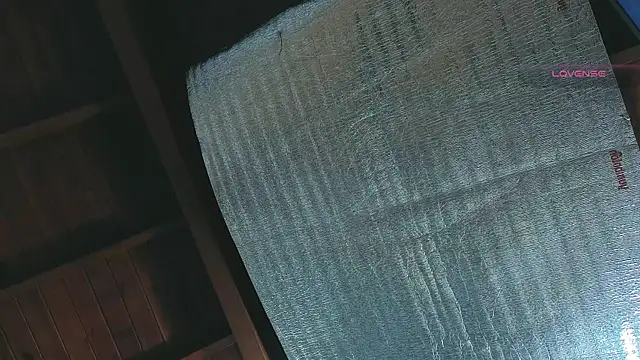 SilvaBranko online show from April 2026 01:09:02 AM