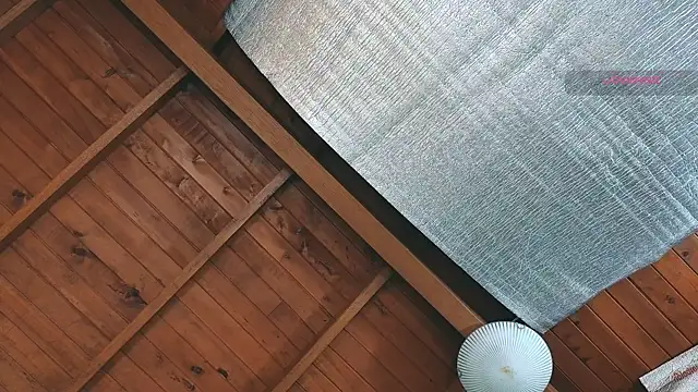 SilvaBranko online show from March 2026 09:05:02 PM