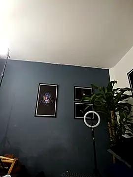 SilvaBranko online show from December 2025 01:06:01 AM