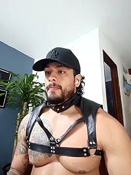 SilvaBranko online show from December 2025 12:48:01 AM