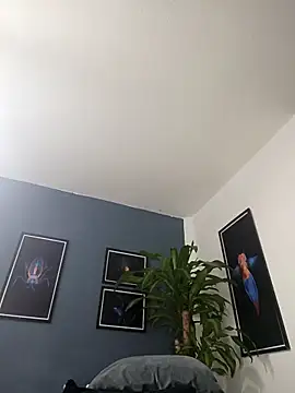 SilvaBranko online show from December 2025 02:04:02 AM