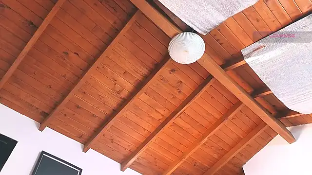 SilvaBranko online show from March 2026 08:04:02 PM