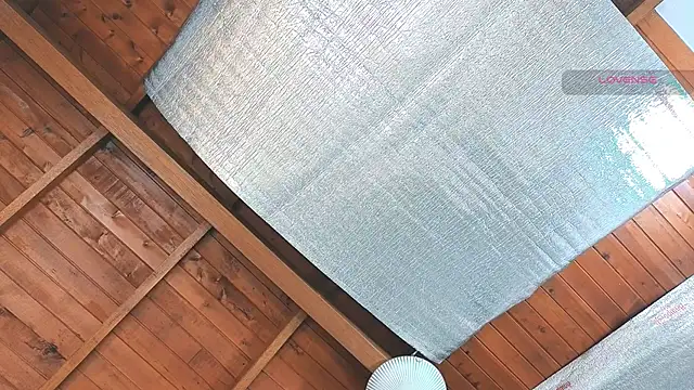 SilvaBranko online show from March 2026 12:07:02 AM