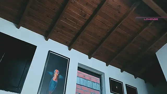 SilvaBranko online show from March 2026 11:07:01 PM