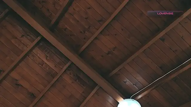 SilvaBranko online show from March 2026 12:11:02 AM