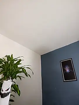 SilvaBranko online show from November 2025 10:02:01 PM