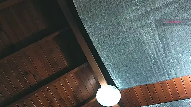 SilvaBranko online show from April 2026 01:07:01 AM