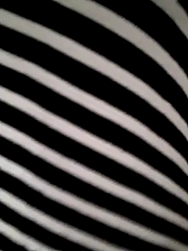 hotandfierylatinos2023 online show from March 2026 11:03:01 AM