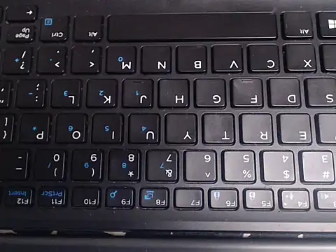 Whimsicalwillow online show from December 2025 03:36:02 PM