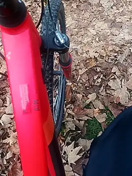 Snapshot of maleesa chatting on November 2025 06:29:01 AM maleesa online show from November 2025 06:29:01 AM