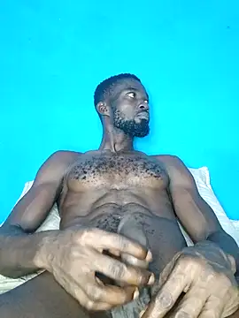 Bulletact online show from February 2026 07:45:01 PM