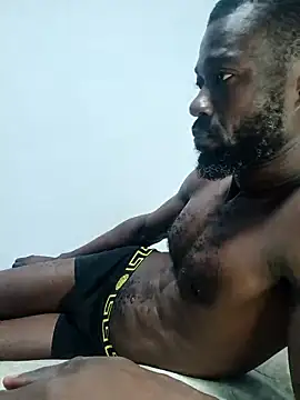 Bulletact online show from March 2026 04:19:02 PM