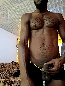 Bulletact online show from February 2026 10:11:01 AM