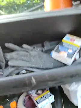 claudio20031 online show from September 2025 05:41:01 AM