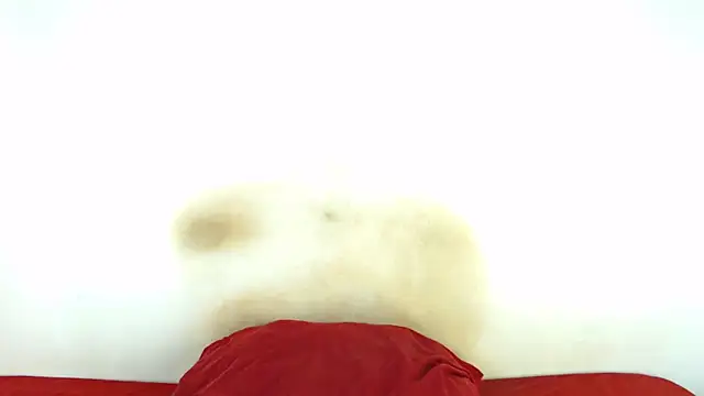 FAT ASS27 online show from February 2026 12:52:01 AM