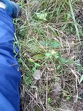 Snapshot of Nkumar173 chatting on November 2025 06:17:02 AM Nkumar173 online show from November 2025 06:17:02 AM