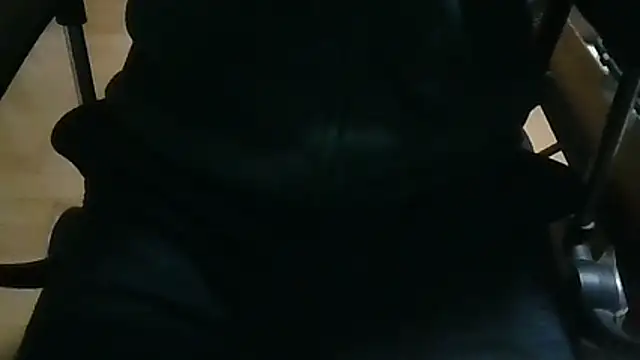 shibayam online show from April 2026 04:30:02 PM