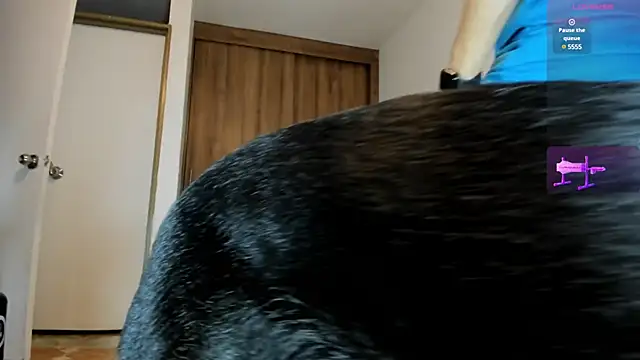 Snapshot of male_pussy chatting on February 2025 10:31:02 PM male pussy online show from February 2025 10:31:02 PM