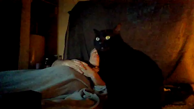 Nightshade7712 online show from November 2025 09:41:01 PM