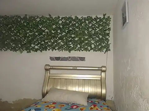 nedd master online show from February 2026 02:39:02 PM