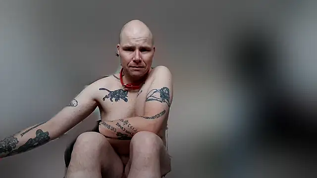 Snapshot of gaywolf426 chatting on February 2026 08:33:02 AM gaywolf426 online show from February 2026 08:33:02 AM