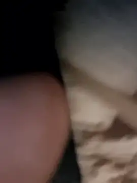 Armyexhibitionistvet online show from January 2026 03:30:02 PM